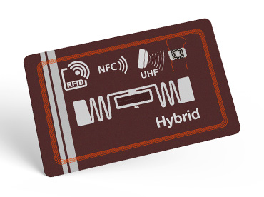 Hybrid Chips Cards
