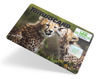 Preprinted card